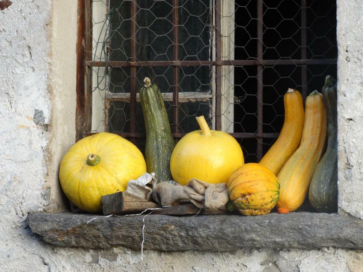 Casetta Villa Villa di Chiavenna 外观 照片